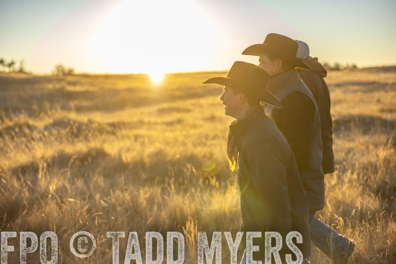TMyers_PP_MalkowskiRanch_FairfieldND_Nov2024-516054