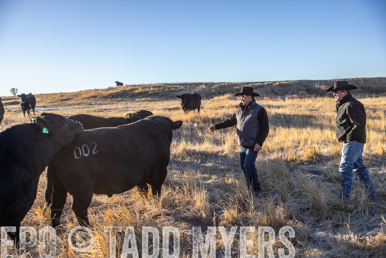 TMyers_PP_MalkowskiRanch_FairfieldND_Nov2024-516114