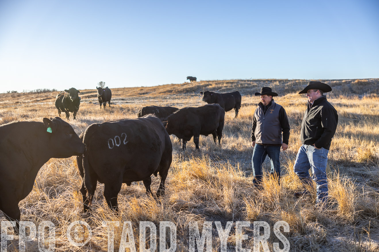 TMyers_PP_MalkowskiRanch_FairfieldND_Nov2024-516117