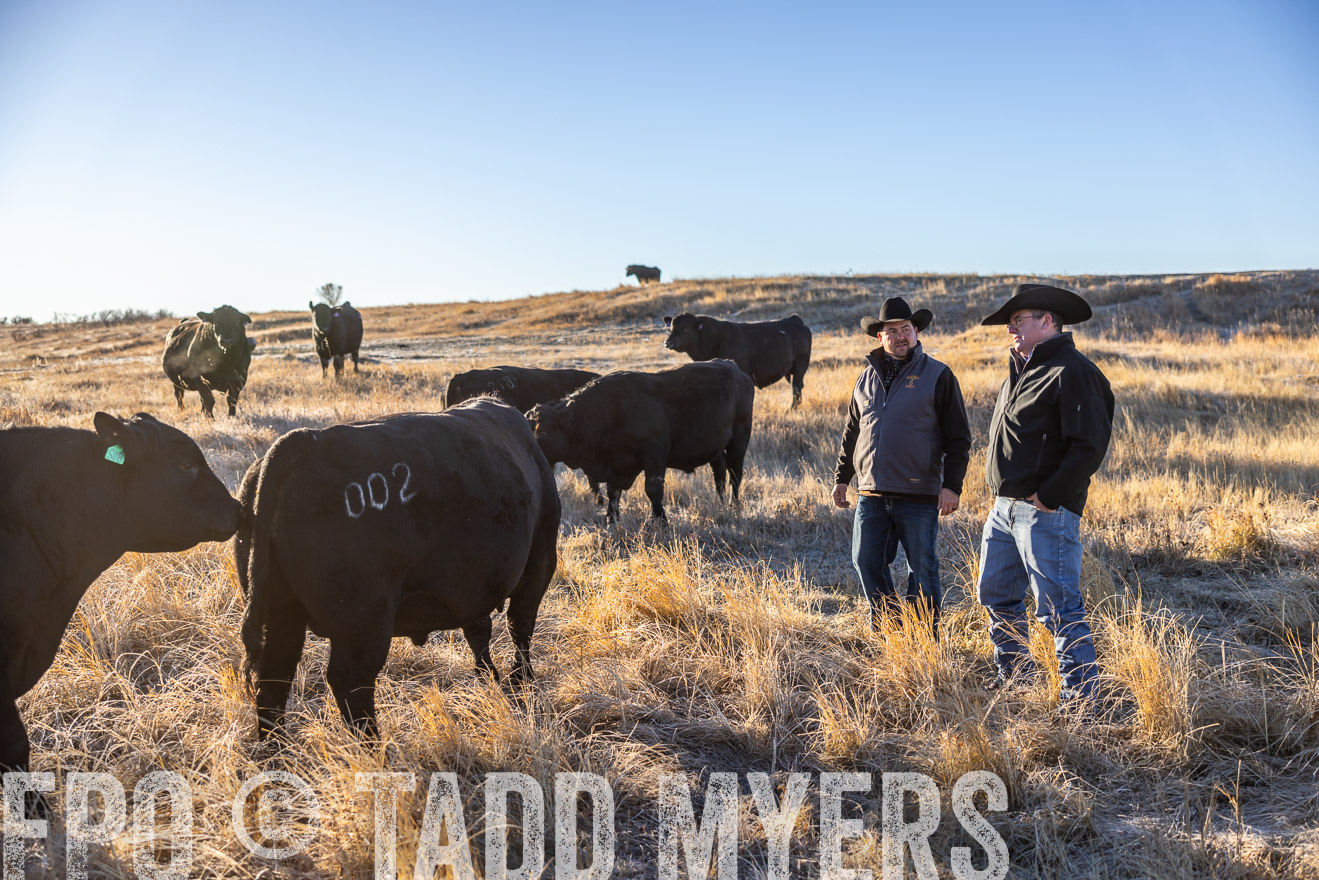 TMyers_PP_MalkowskiRanch_FairfieldND_Nov2024-516119