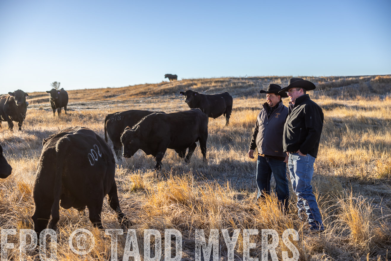 TMyers_PP_MalkowskiRanch_FairfieldND_Nov2024-516123