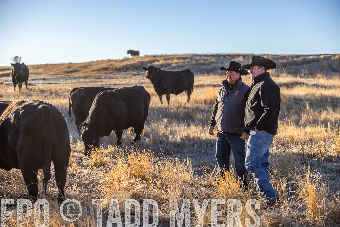 TMyers_PP_MalkowskiRanch_FairfieldND_Nov2024-516126