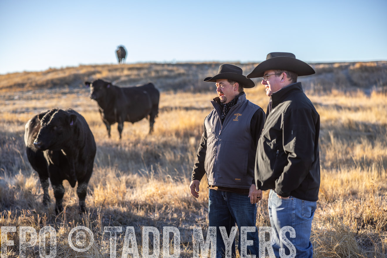 TMyers_PP_MalkowskiRanch_FairfieldND_Nov2024-516137