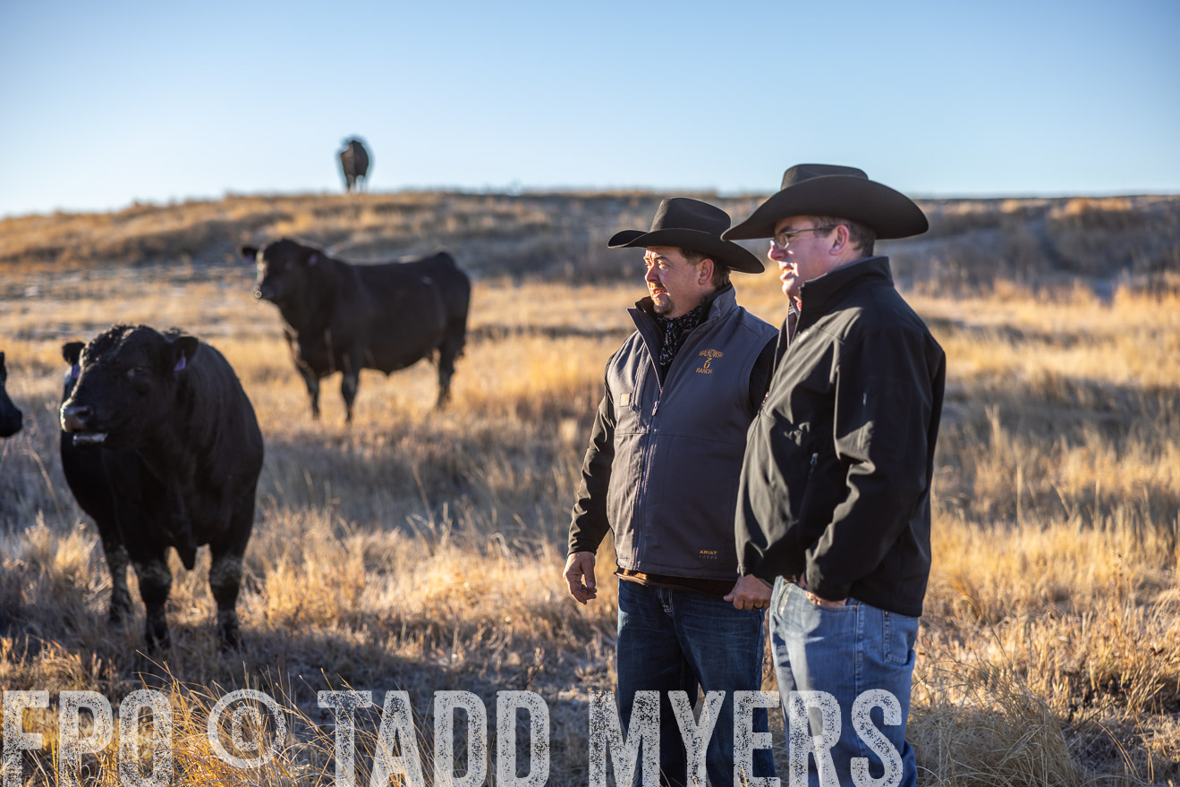 TMyers_PP_MalkowskiRanch_FairfieldND_Nov2024-516139