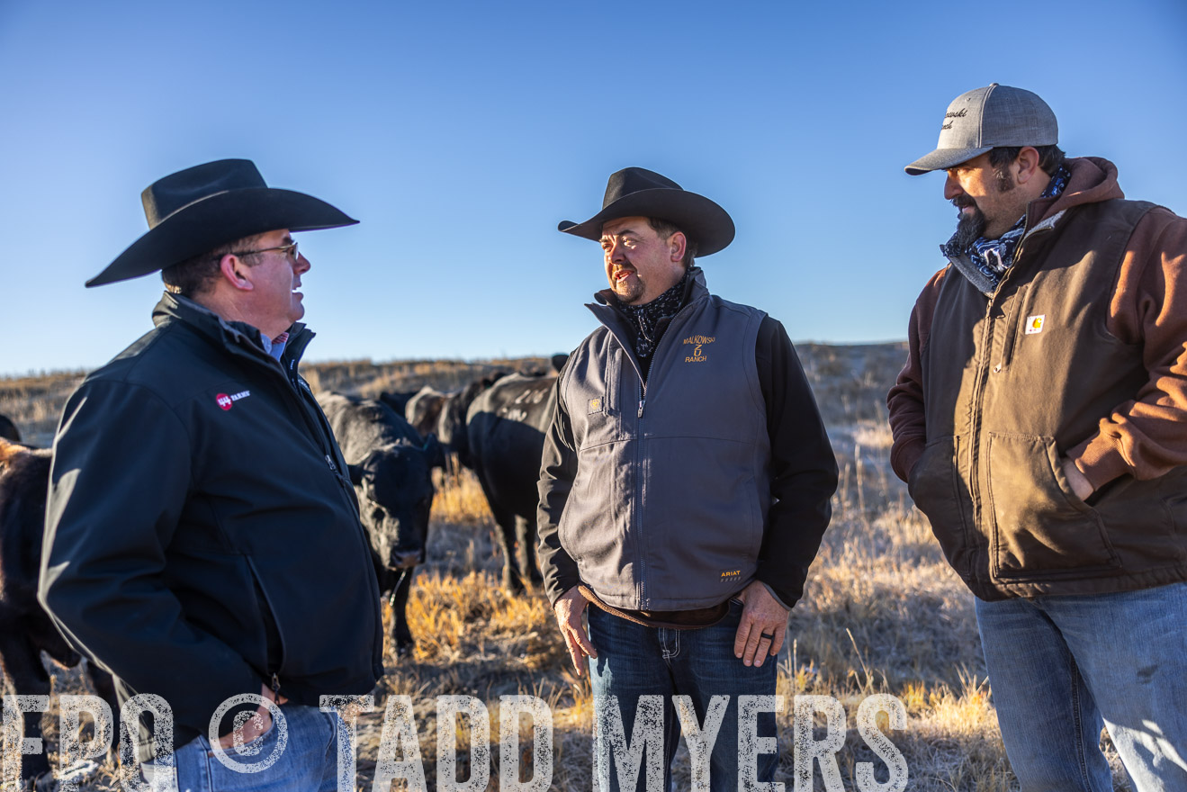 TMyers_PP_MalkowskiRanch_FairfieldND_Nov2024-516215