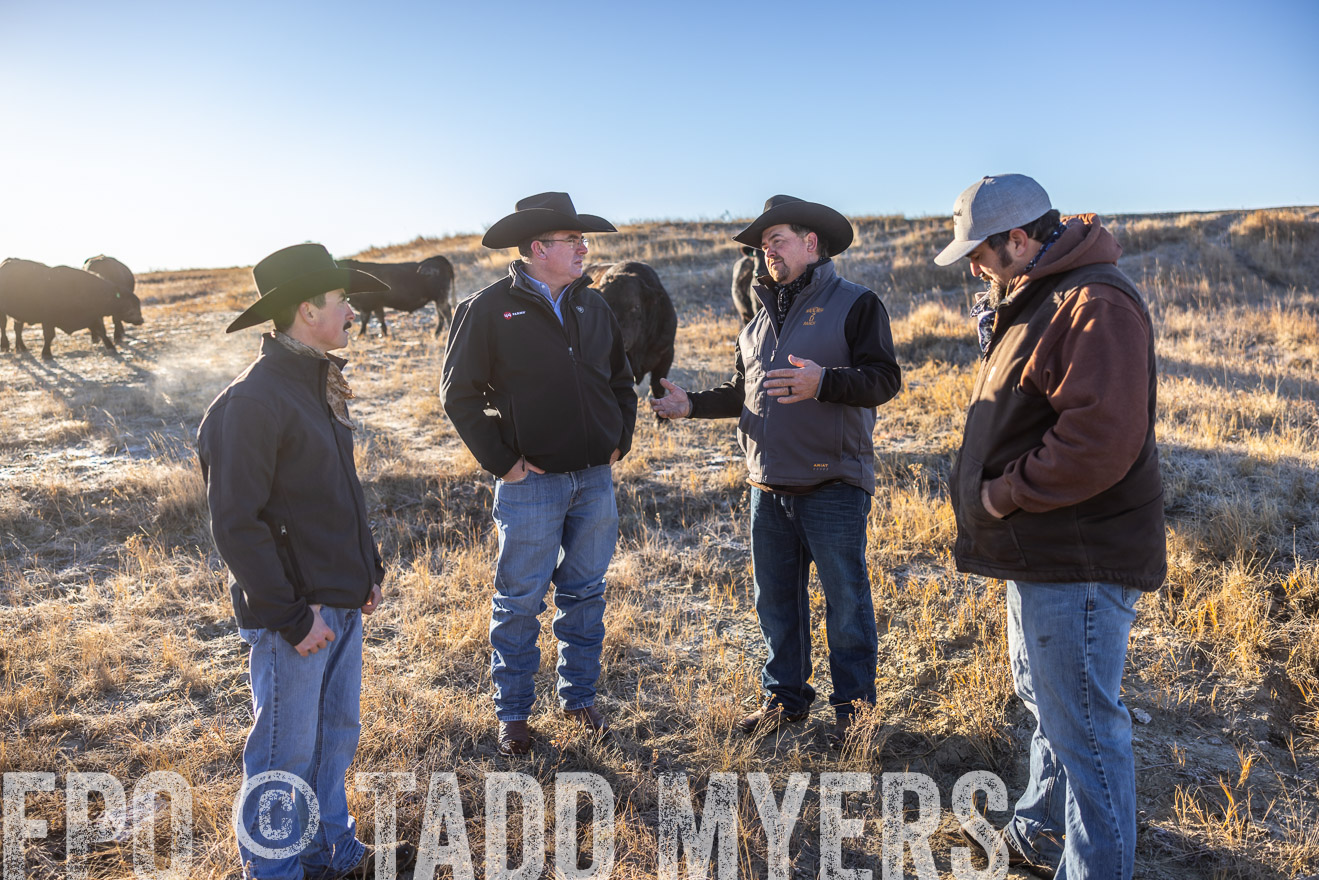 TMyers_PP_MalkowskiRanch_FairfieldND_Nov2024-516246