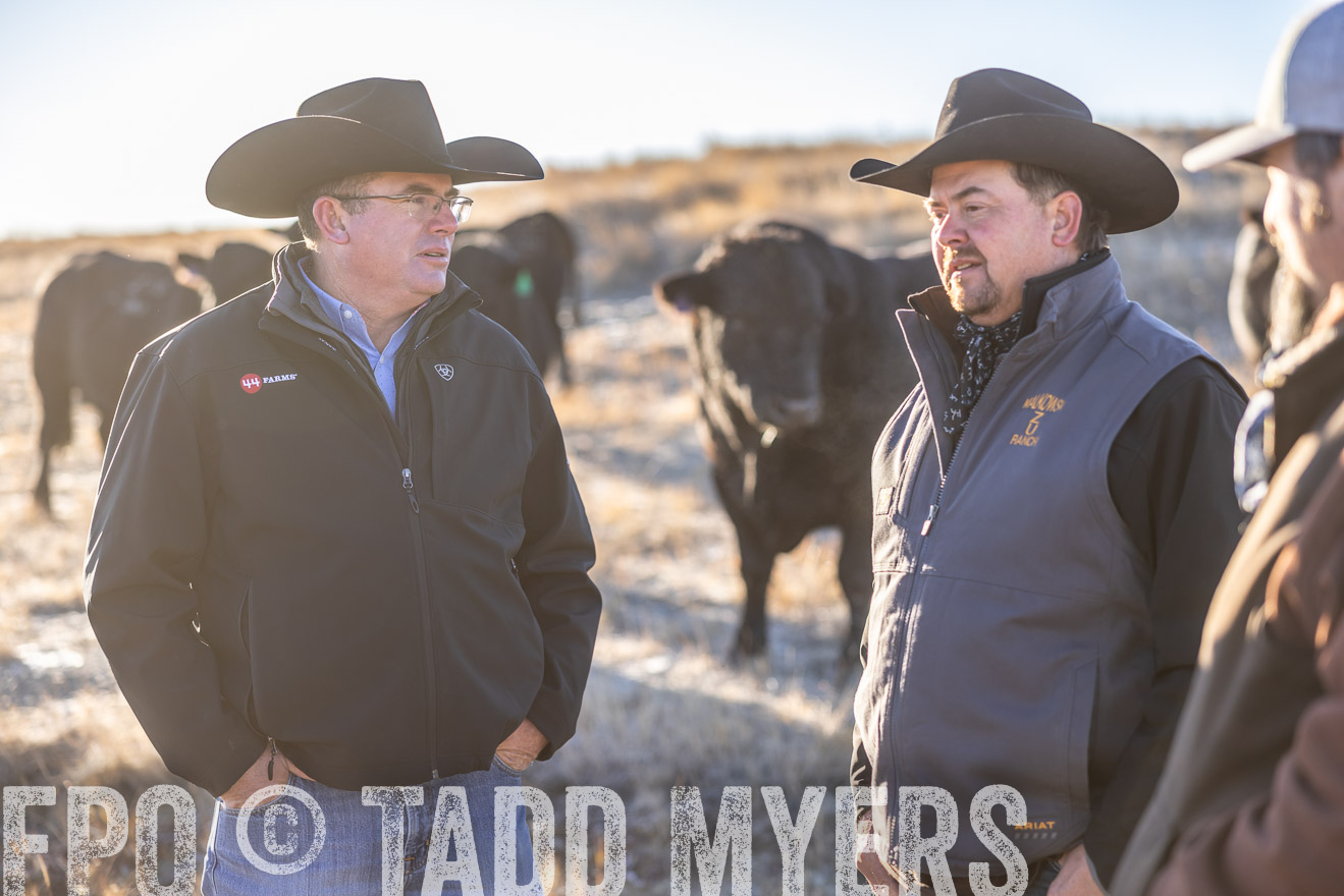 TMyers_PP_MalkowskiRanch_FairfieldND_Nov2024-516271