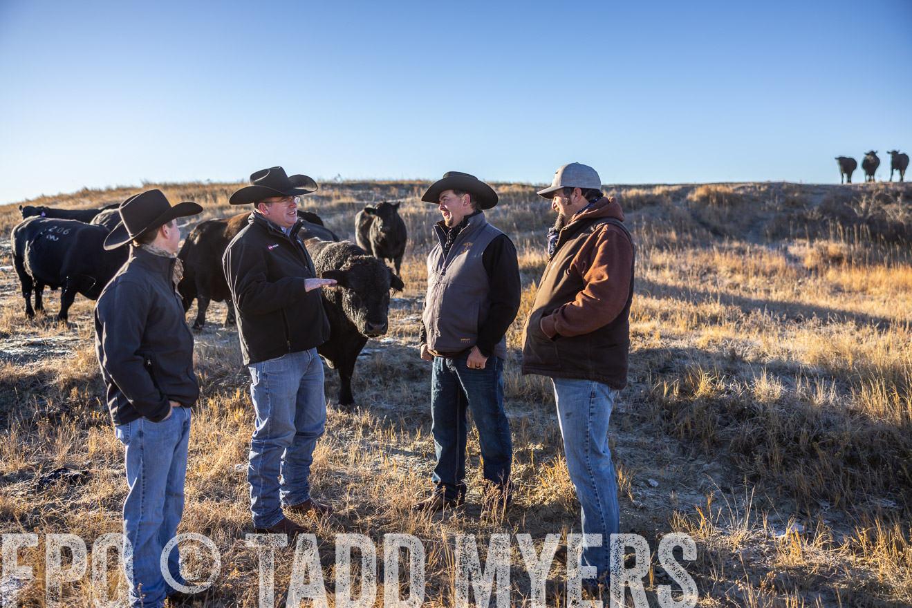 TMyers_PP_MalkowskiRanch_FairfieldND_Nov2024-516277