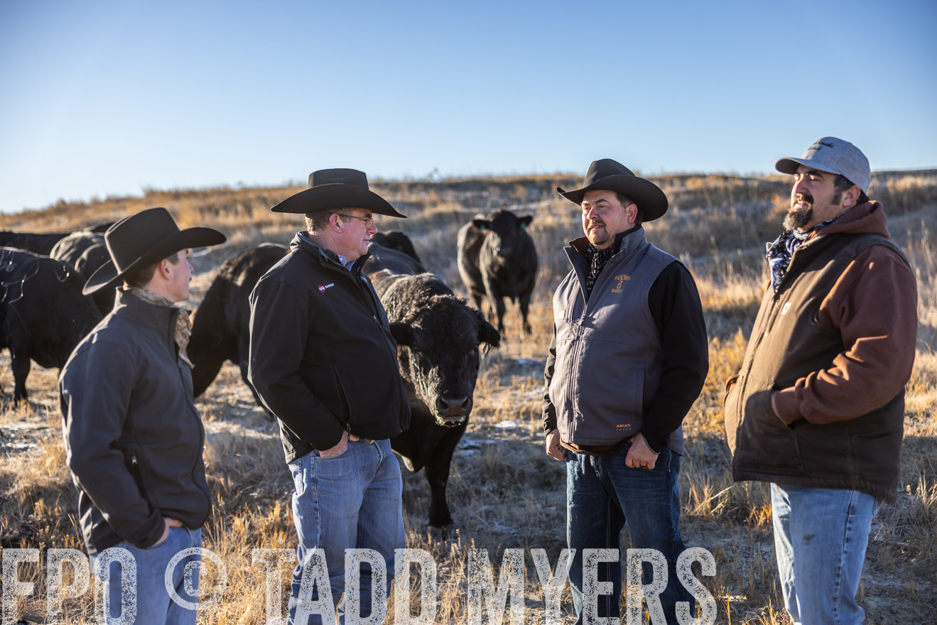 TMyers_PP_MalkowskiRanch_FairfieldND_Nov2024-516280