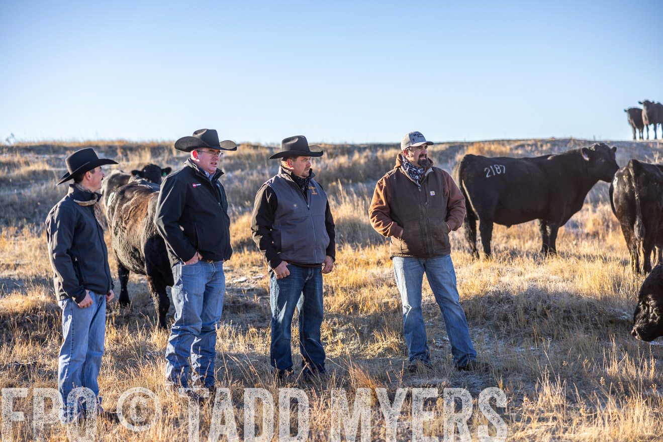 TMyers_PP_MalkowskiRanch_FairfieldND_Nov2024-516285