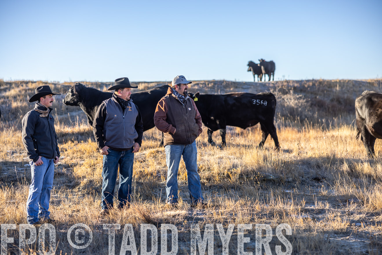 TMyers_PP_MalkowskiRanch_FairfieldND_Nov2024-516291