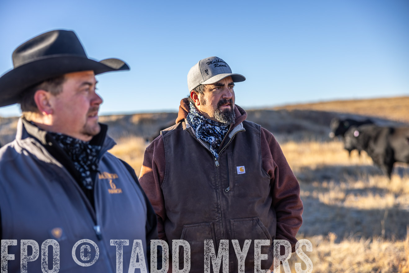 TMyers_PP_MalkowskiRanch_FairfieldND_Nov2024-516307