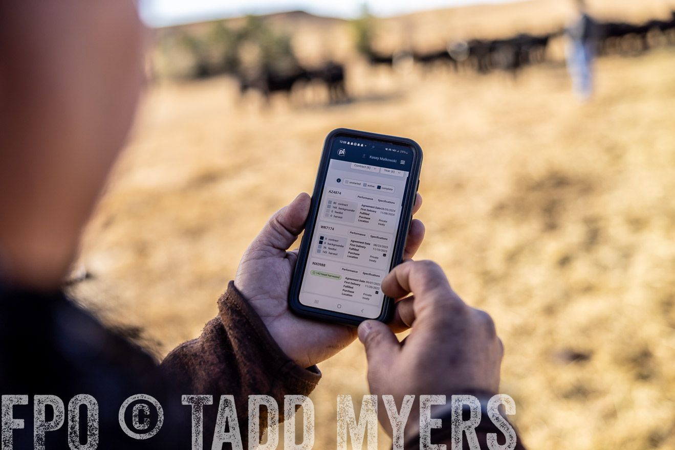 TMyers_PP_MalkowskiRanch_FairfieldND_Nov2024-517104