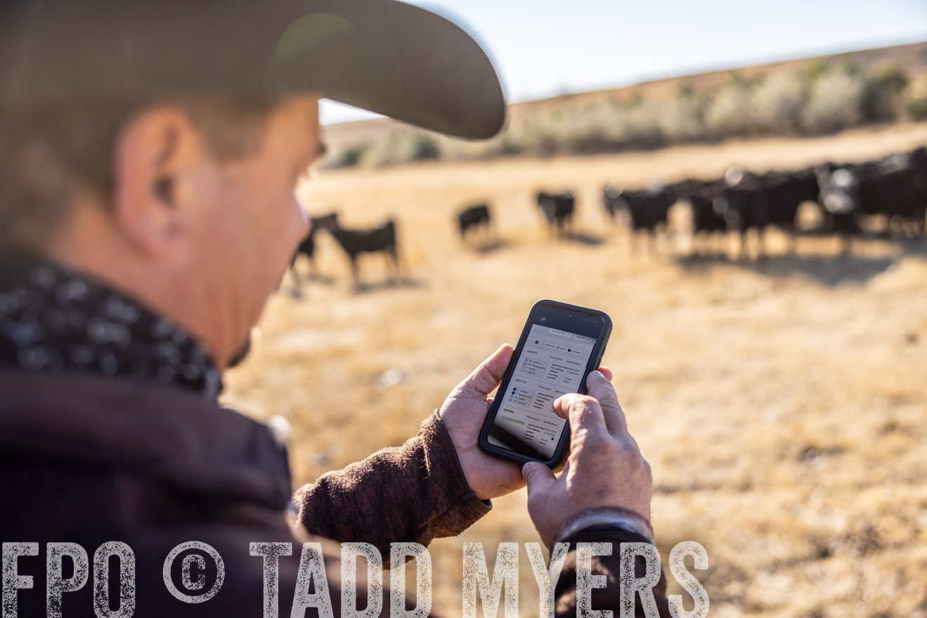 TMyers_PP_MalkowskiRanch_FairfieldND_Nov2024-517172