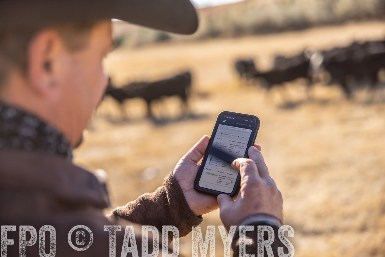 TMyers_PP_MalkowskiRanch_FairfieldND_Nov2024-517189