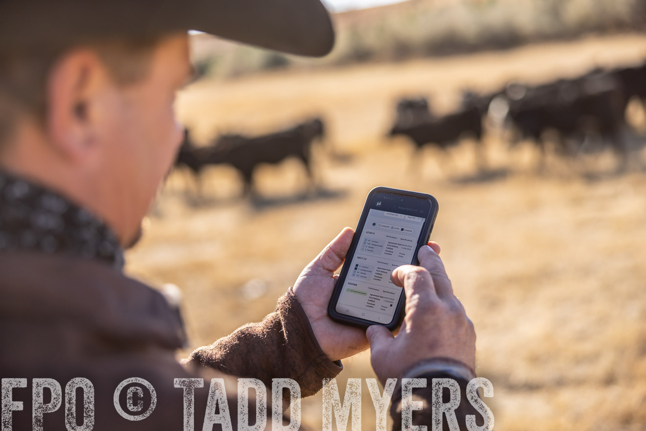 TMyers_PP_MalkowskiRanch_FairfieldND_Nov2024-517195
