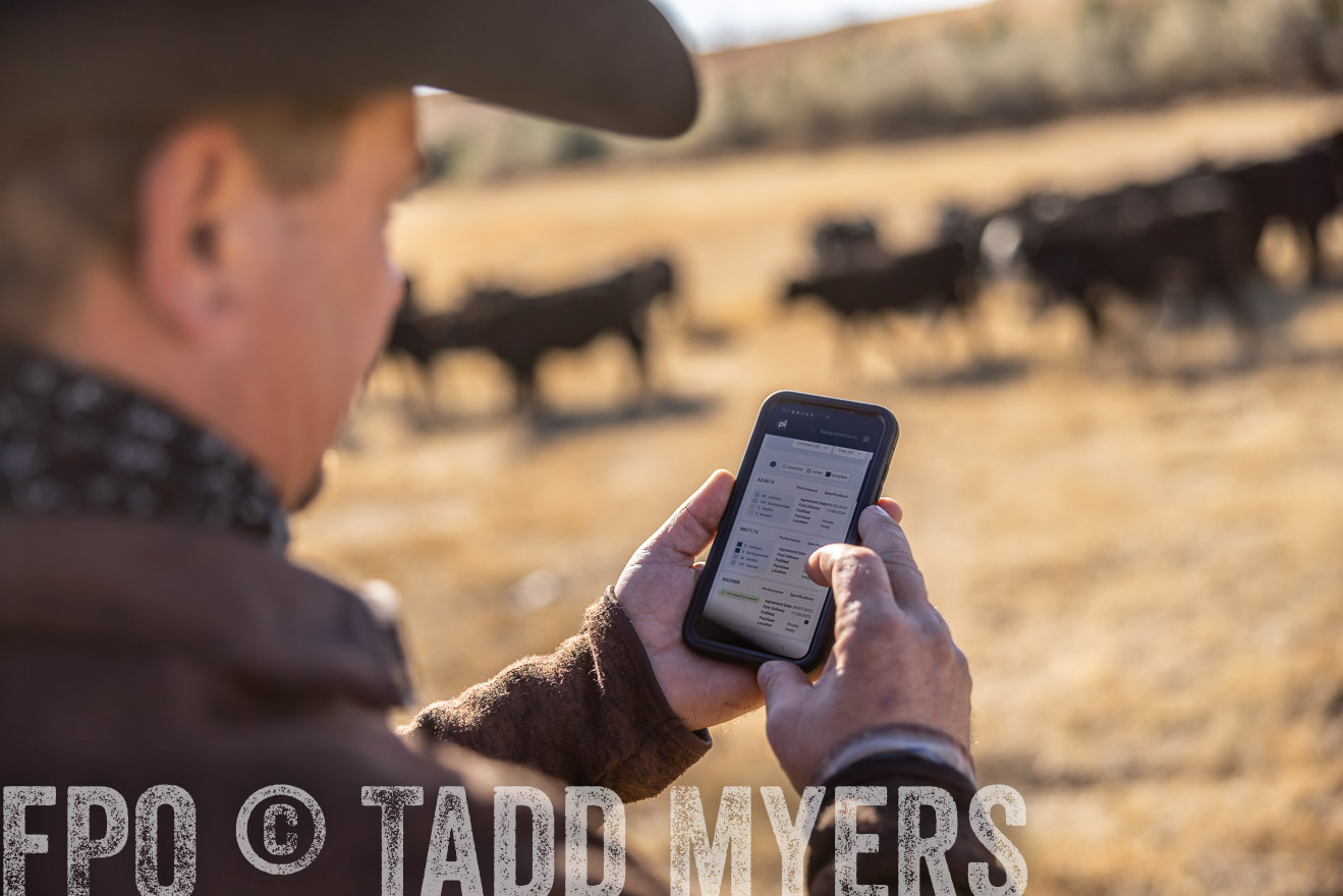 TMyers_PP_MalkowskiRanch_FairfieldND_Nov2024-517197