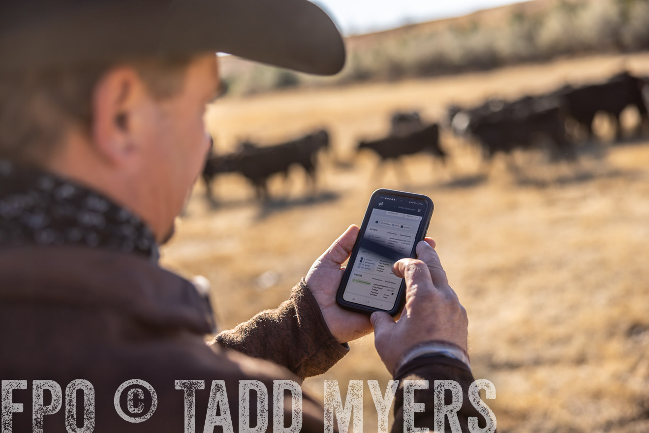 TMyers_PP_MalkowskiRanch_FairfieldND_Nov2024-517201