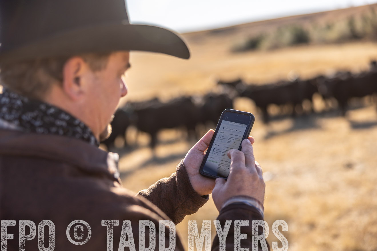 TMyers_PP_MalkowskiRanch_FairfieldND_Nov2024-517312