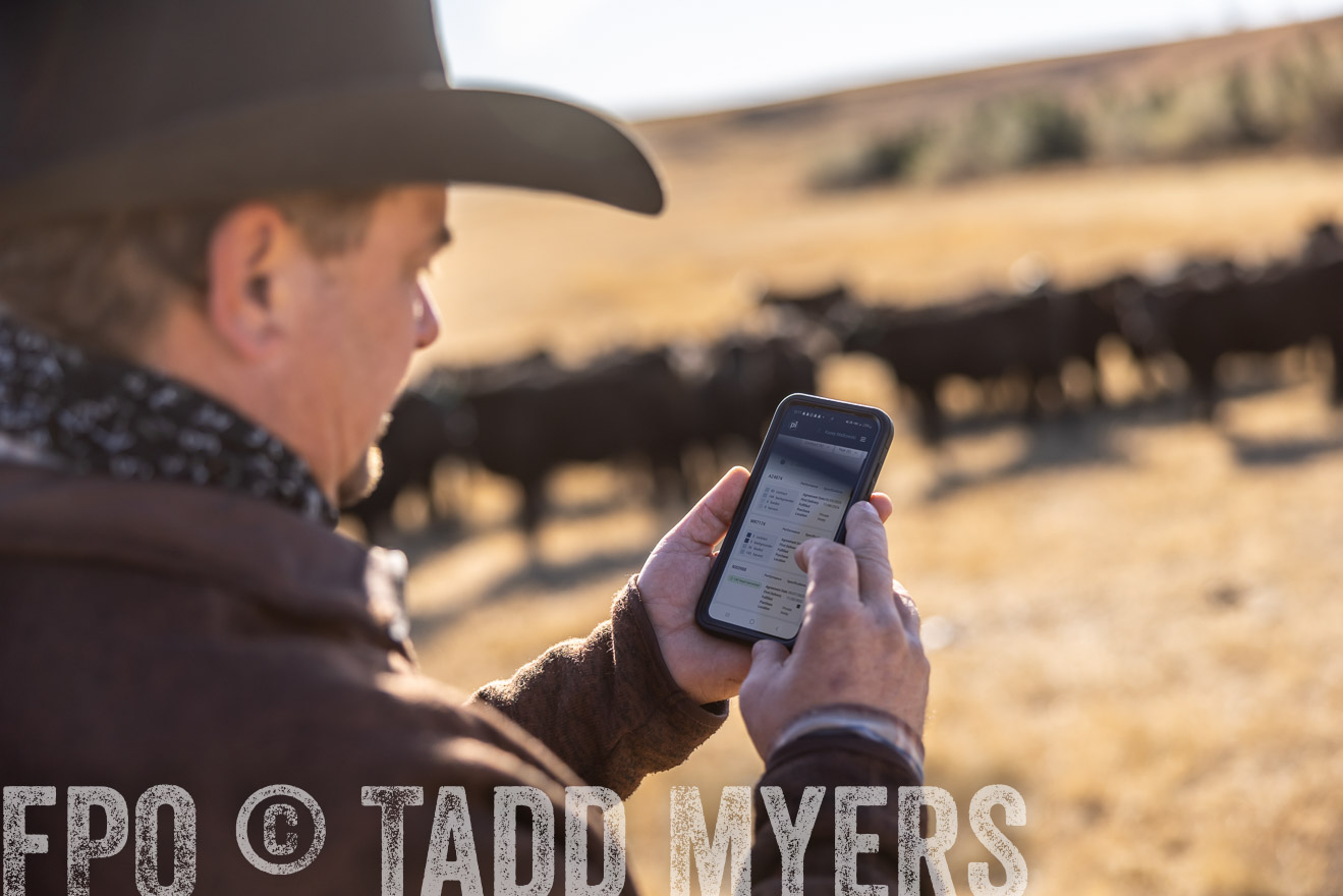 TMyers_PP_MalkowskiRanch_FairfieldND_Nov2024-517319