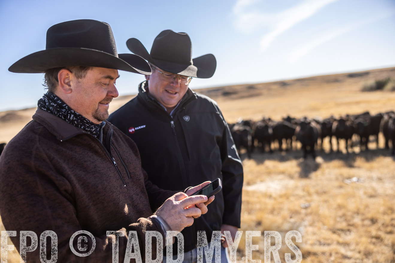 TMyers_PP_MalkowskiRanch_FairfieldND_Nov2024-517396