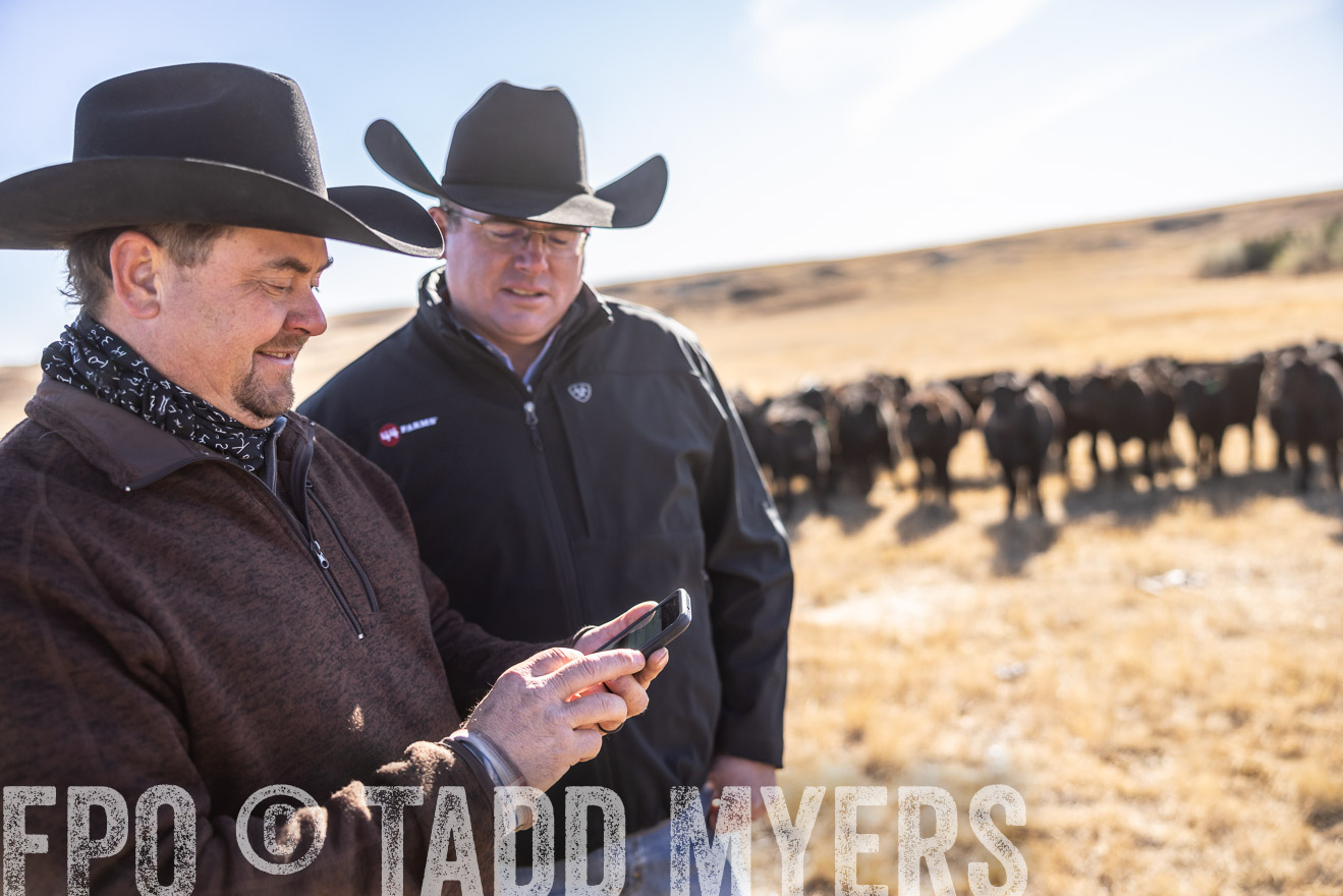 TMyers_PP_MalkowskiRanch_FairfieldND_Nov2024-517410