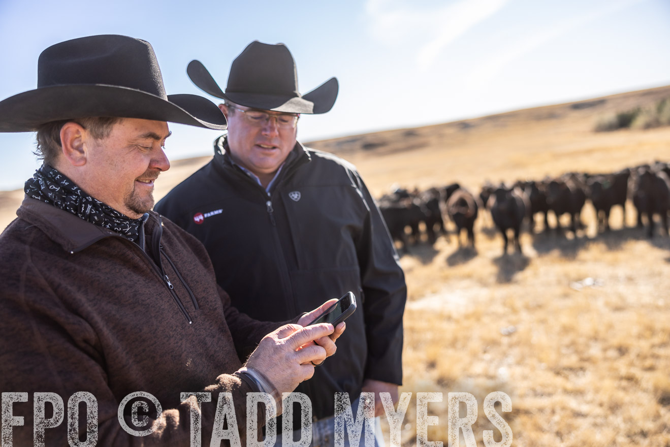 TMyers_PP_MalkowskiRanch_FairfieldND_Nov2024-517437