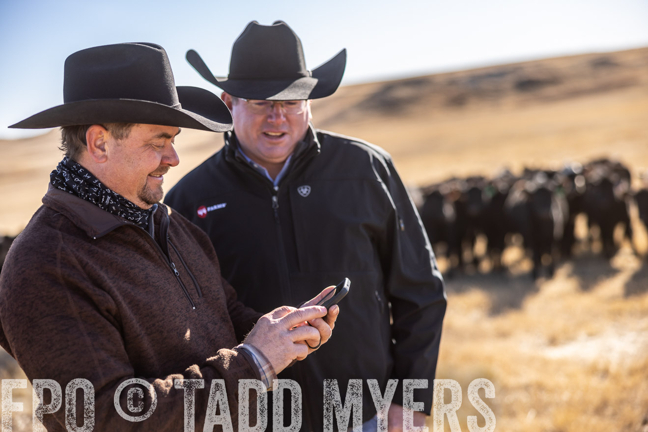 TMyers_PP_MalkowskiRanch_FairfieldND_Nov2024-517479