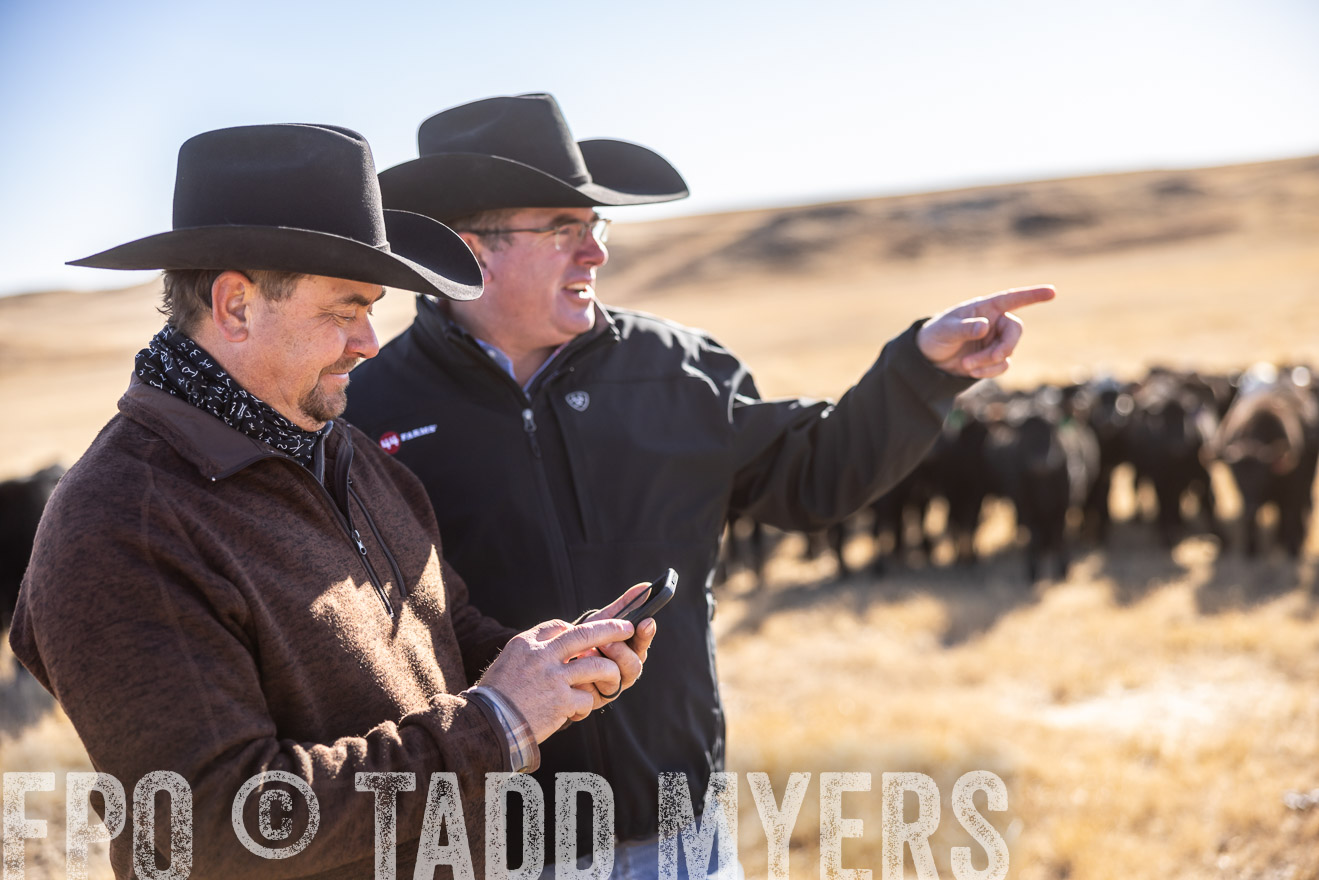TMyers_PP_MalkowskiRanch_FairfieldND_Nov2024-517523