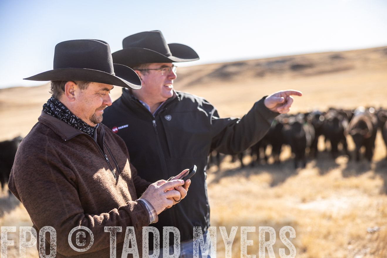 TMyers_PP_MalkowskiRanch_FairfieldND_Nov2024-517525