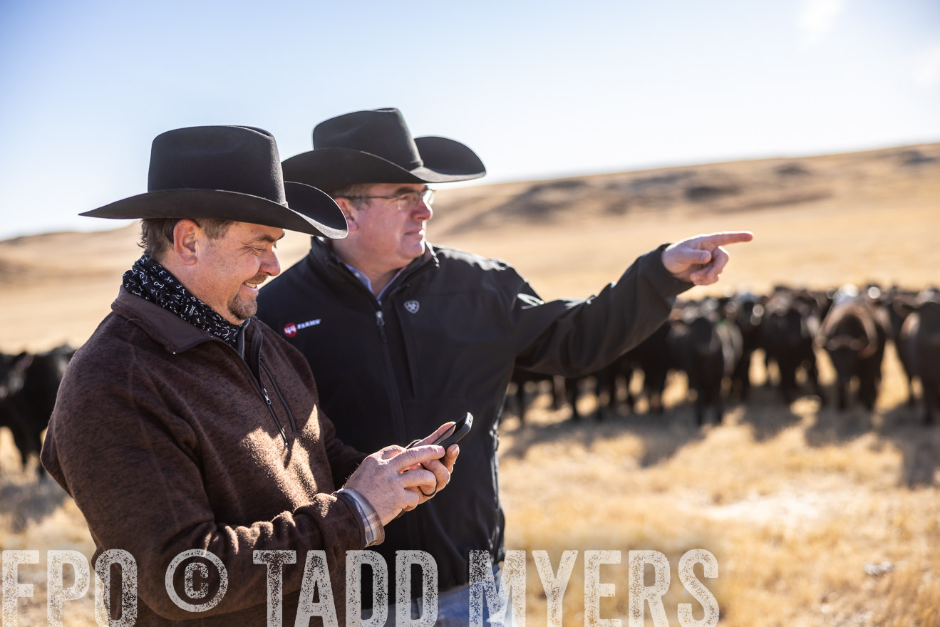 TMyers_PP_MalkowskiRanch_FairfieldND_Nov2024-517538