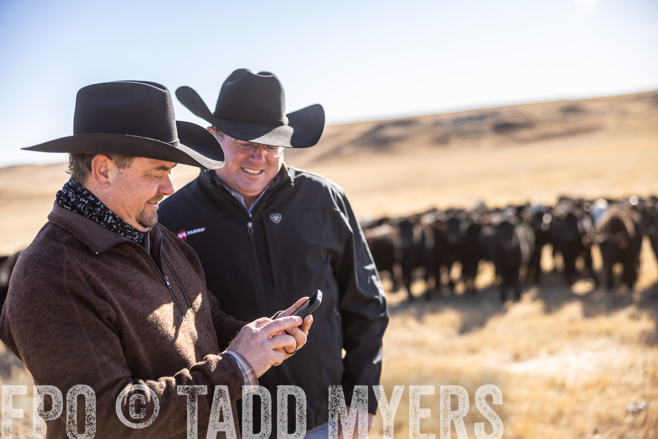 TMyers_PP_MalkowskiRanch_FairfieldND_Nov2024-517583