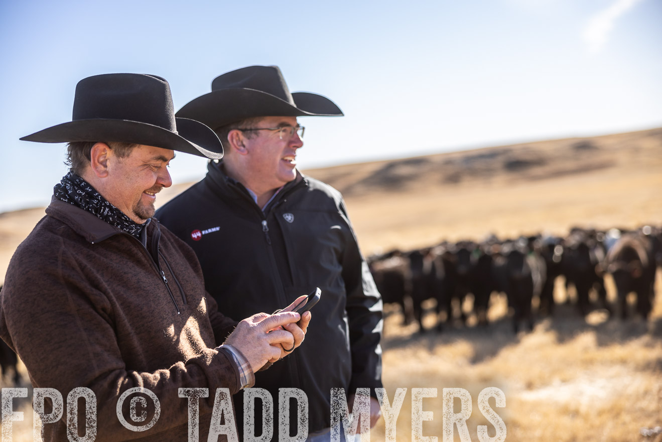 TMyers_PP_MalkowskiRanch_FairfieldND_Nov2024-517602