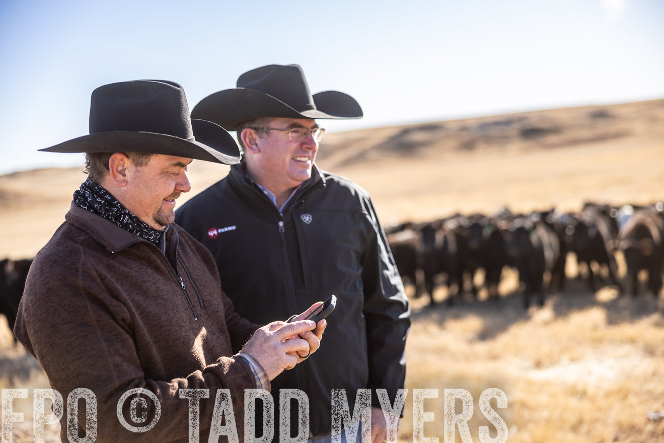 TMyers_PP_MalkowskiRanch_FairfieldND_Nov2024-517614