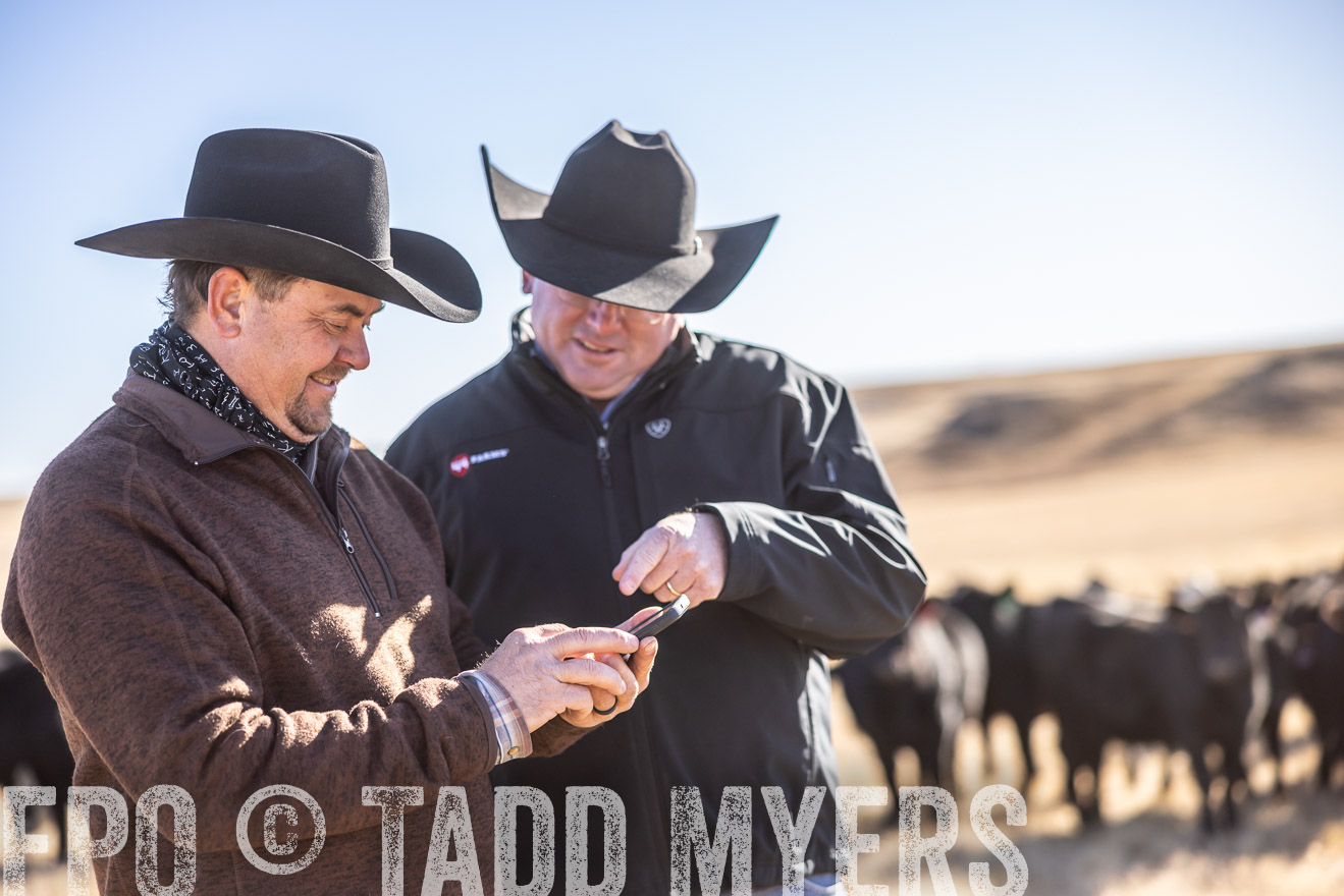 TMyers_PP_MalkowskiRanch_FairfieldND_Nov2024-517626