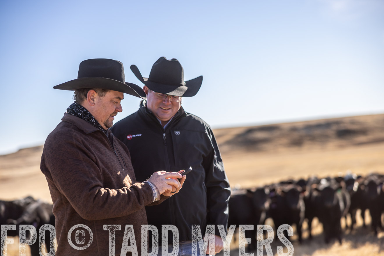 TMyers_PP_MalkowskiRanch_FairfieldND_Nov2024-517643