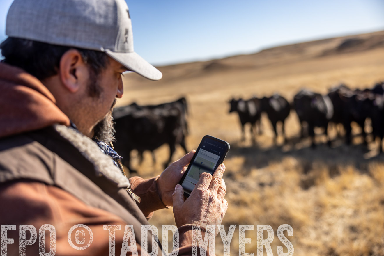 TMyers_PP_MalkowskiRanch_FairfieldND_Nov2024-517647