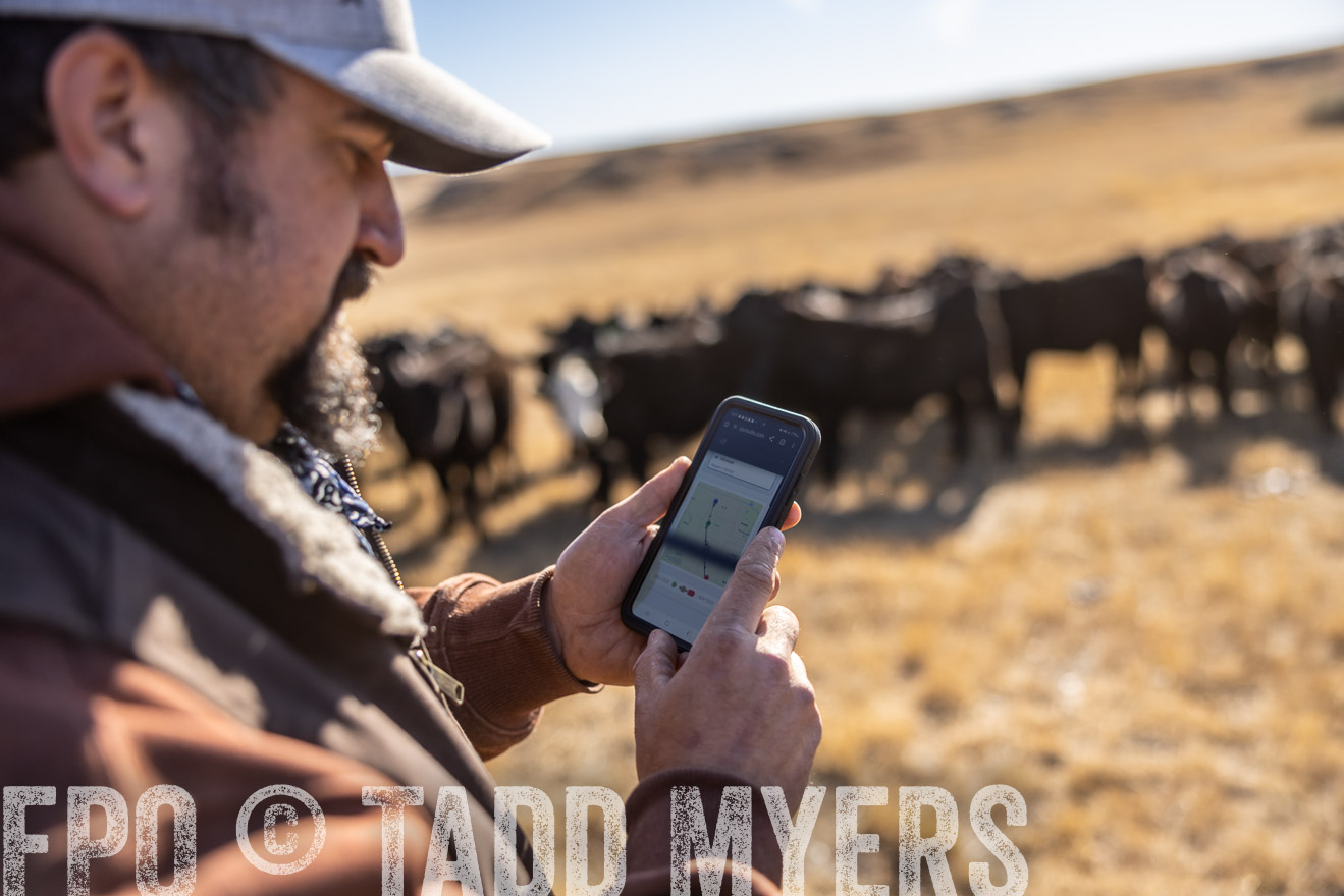 TMyers_PP_MalkowskiRanch_FairfieldND_Nov2024-517662