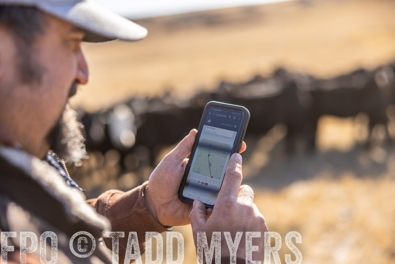 TMyers_PP_MalkowskiRanch_FairfieldND_Nov2024-517667