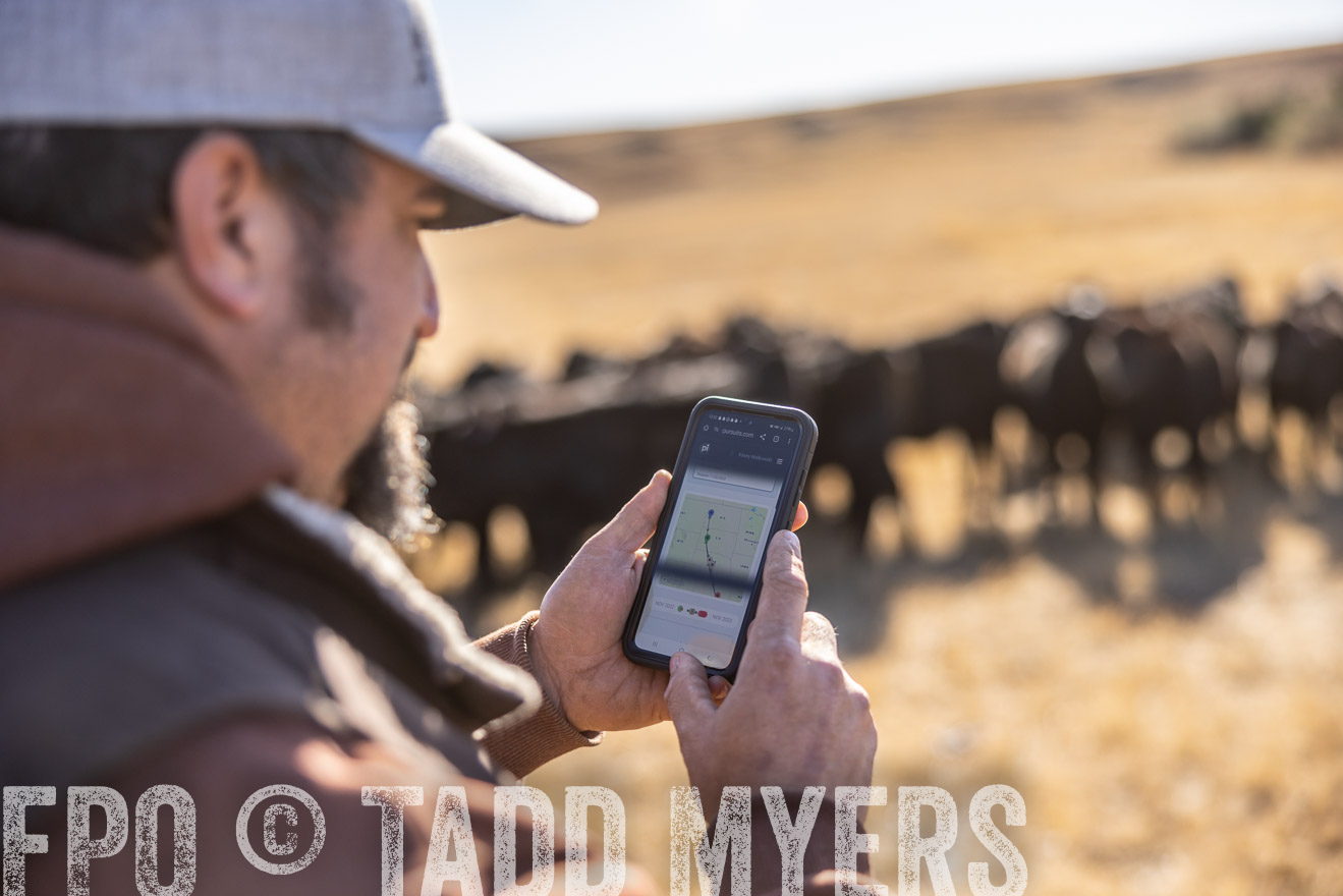 TMyers_PP_MalkowskiRanch_FairfieldND_Nov2024-517670