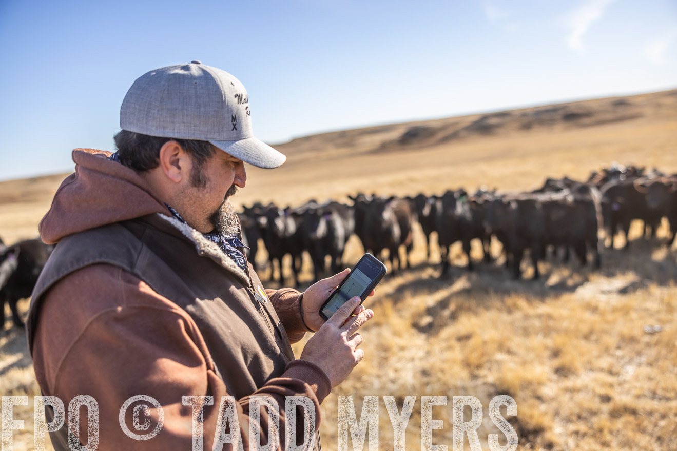 TMyers_PP_MalkowskiRanch_FairfieldND_Nov2024-517674
