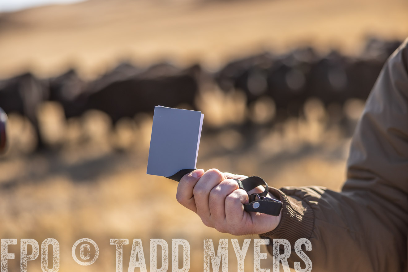 TMyers_PP_MalkowskiRanch_FairfieldND_Nov2024-517681