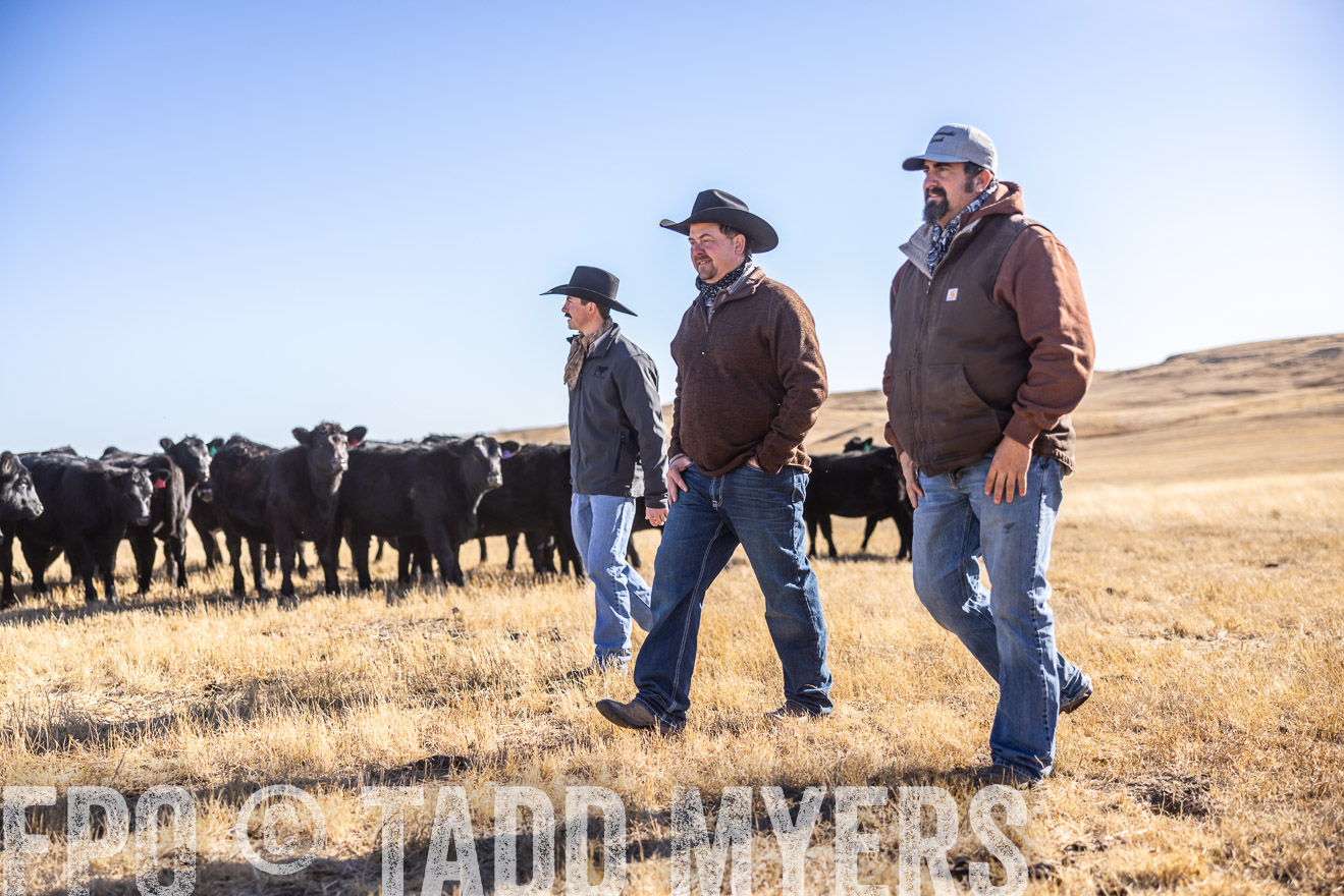 TMyers_PP_MalkowskiRanch_FairfieldND_Nov2024-517703