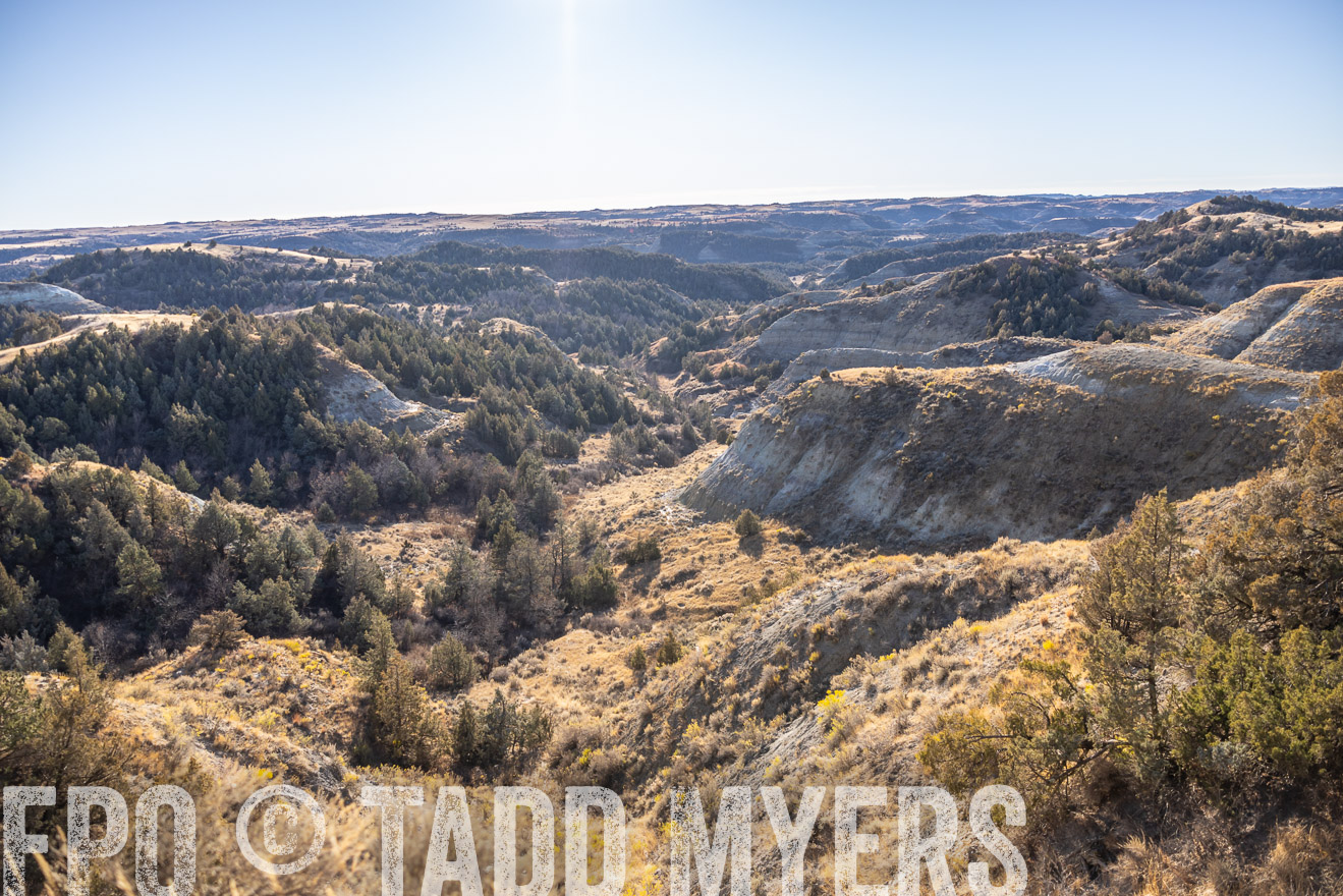 TMyers_PP_MalkowskiRanch_FairfieldND_Nov2024-517721