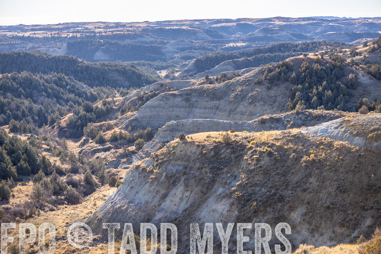 TMyers_PP_MalkowskiRanch_FairfieldND_Nov2024-517728