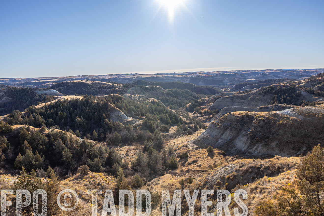 TMyers_PP_MalkowskiRanch_FairfieldND_Nov2024-517733