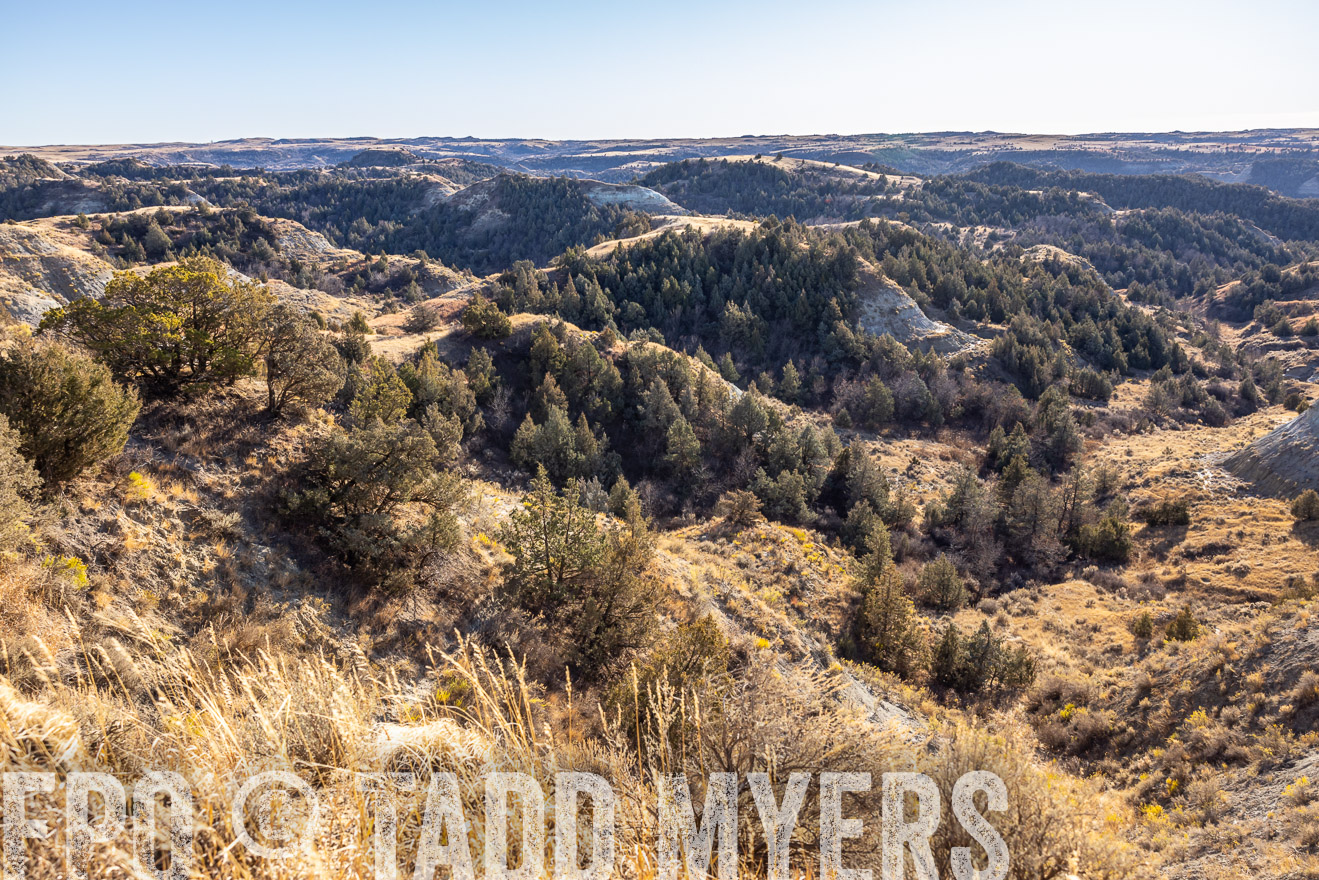 TMyers_PP_MalkowskiRanch_FairfieldND_Nov2024-517737