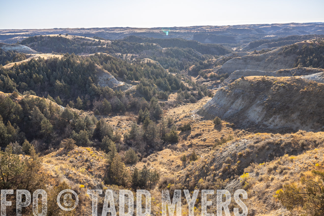 TMyers_PP_MalkowskiRanch_FairfieldND_Nov2024-517742