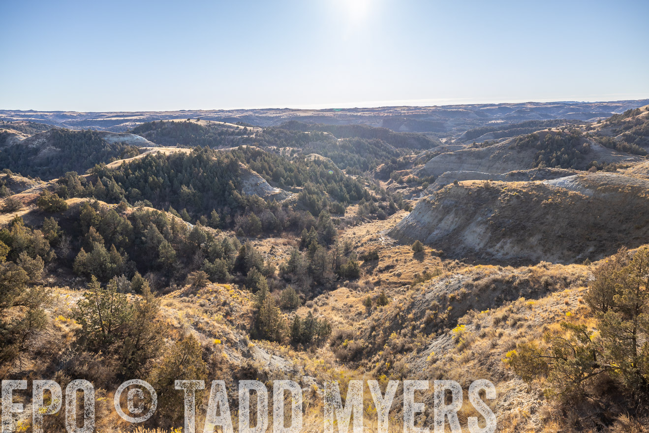 TMyers_PP_MalkowskiRanch_FairfieldND_Nov2024-517743