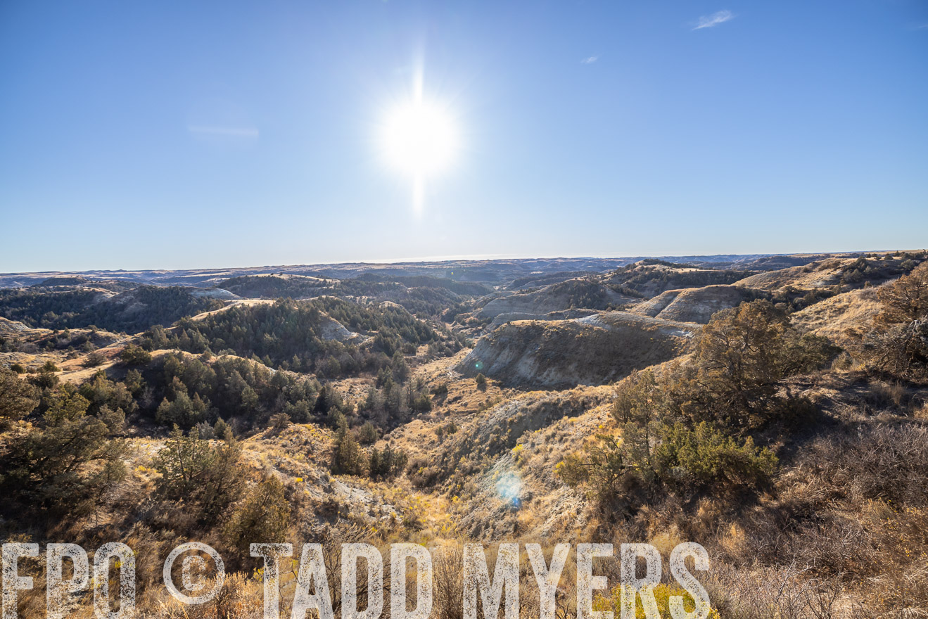 TMyers_PP_MalkowskiRanch_FairfieldND_Nov2024-517745